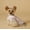 P, variant on Puppy Pink Dress French Exquisite Cat Princess Dress Pet Couple Outfit Suitable for Yorkshire Terriers