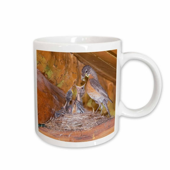 3drose, American Robin Bird Nest, Glacier Np, Montana - Na02 Rnu0329 - Rolf Nussbaumer, 11oz Mug