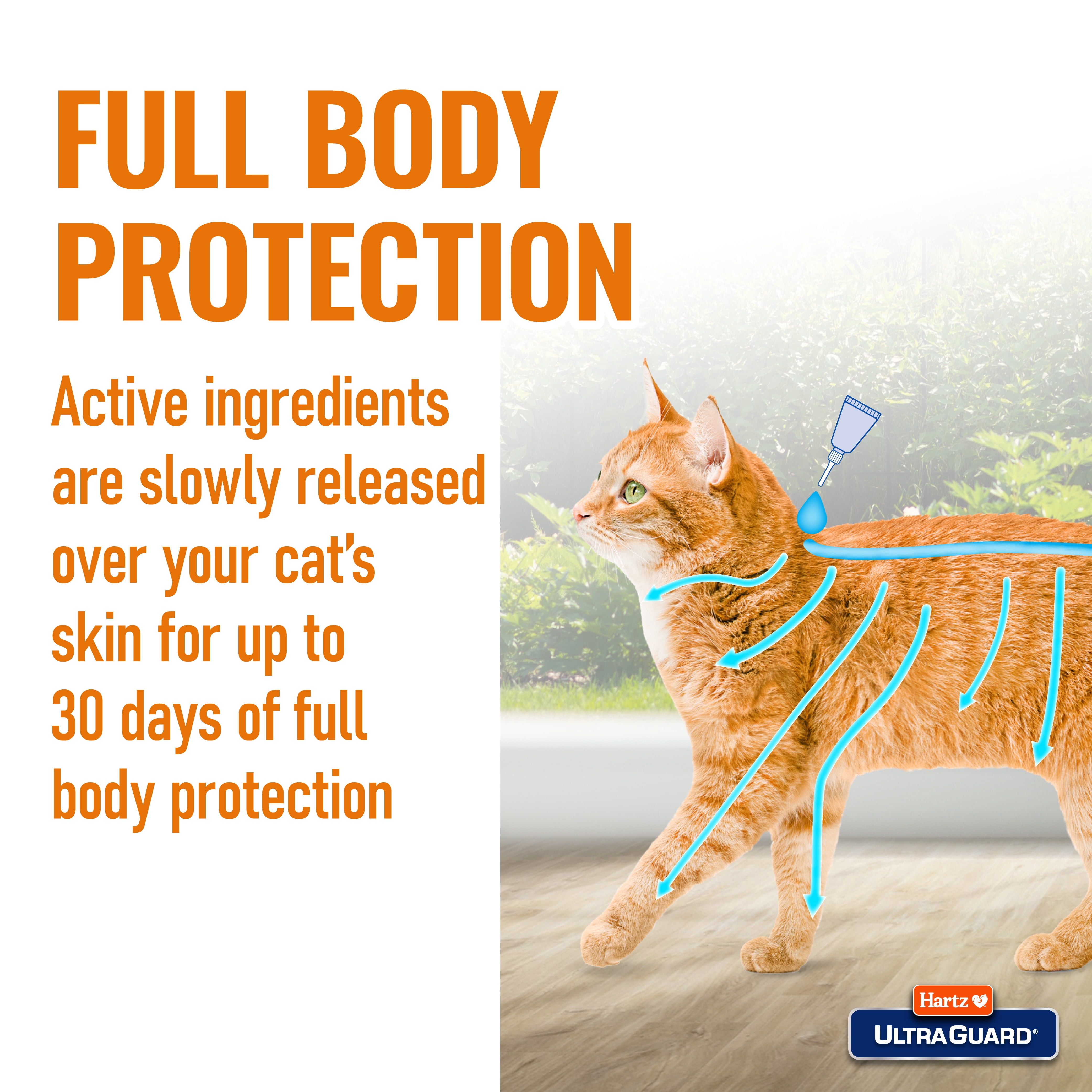 Hartz UltraGuard Topical Flea and Tick Prevention Treatment for Cats & Kittens, 3 Treatments