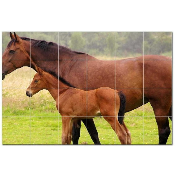 Horse Picture Ceramic Tile Mural Kitchen Backsplash Bathroom Shower, 405282-M64