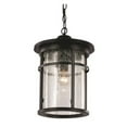 thumbnail image 2 of Trans Globe Lighting Avalon 4038 Outdoor Hanging Lantern, 2 of 2