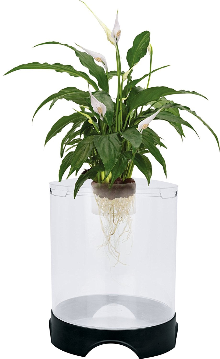 Penn-Plax Aqua-Ponic Plastic Betta Tank & Hydroponic Planter –  for Plants and Fish – 1.4 Gallon