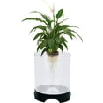 thumbnail image 6 of Penn-Plax Aqua-Ponic Plastic Betta Tank & Hydroponic Planter –  for Plants and Fish – 1.4 Gallon, 6 of 9