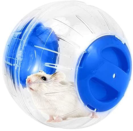 Rat Pennine Hamster Travel Fitness Exercise Play Toy Ball Giant 10 small animals