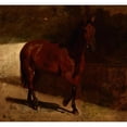 thumbnail image 3 of Maksymilian Gierymski 16x15 Black Modern Framed Museum Art Print Titled - Study of a Chestnut Horse (1872), 3 of 5