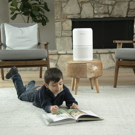 Levoit - Pet Care True HEPA Air Purifier - Gray