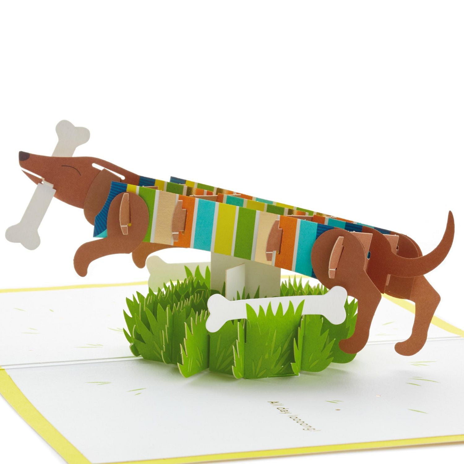 Hallmark Signature Paper Wonder Pop Up Birthday Card (Dachshund, Happy All Day Long)