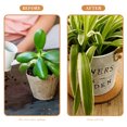 thumbnail image 5 of AURARMLET 10pcs Round Cork Coasters for Plants Prevent Water Leakage Garden Use, 5 of 5