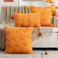 thumbnail image 4 of Fall Pillow Covers 18x18 Set of 2 Fall Decorations Thanksgiving Autumn Pumpkin Throw Pillow Cases Soft Plush Faux Fur Wool Couch Cushion Case for Chair Sofa Bedroom Living Room Home Decor, 4 of 6