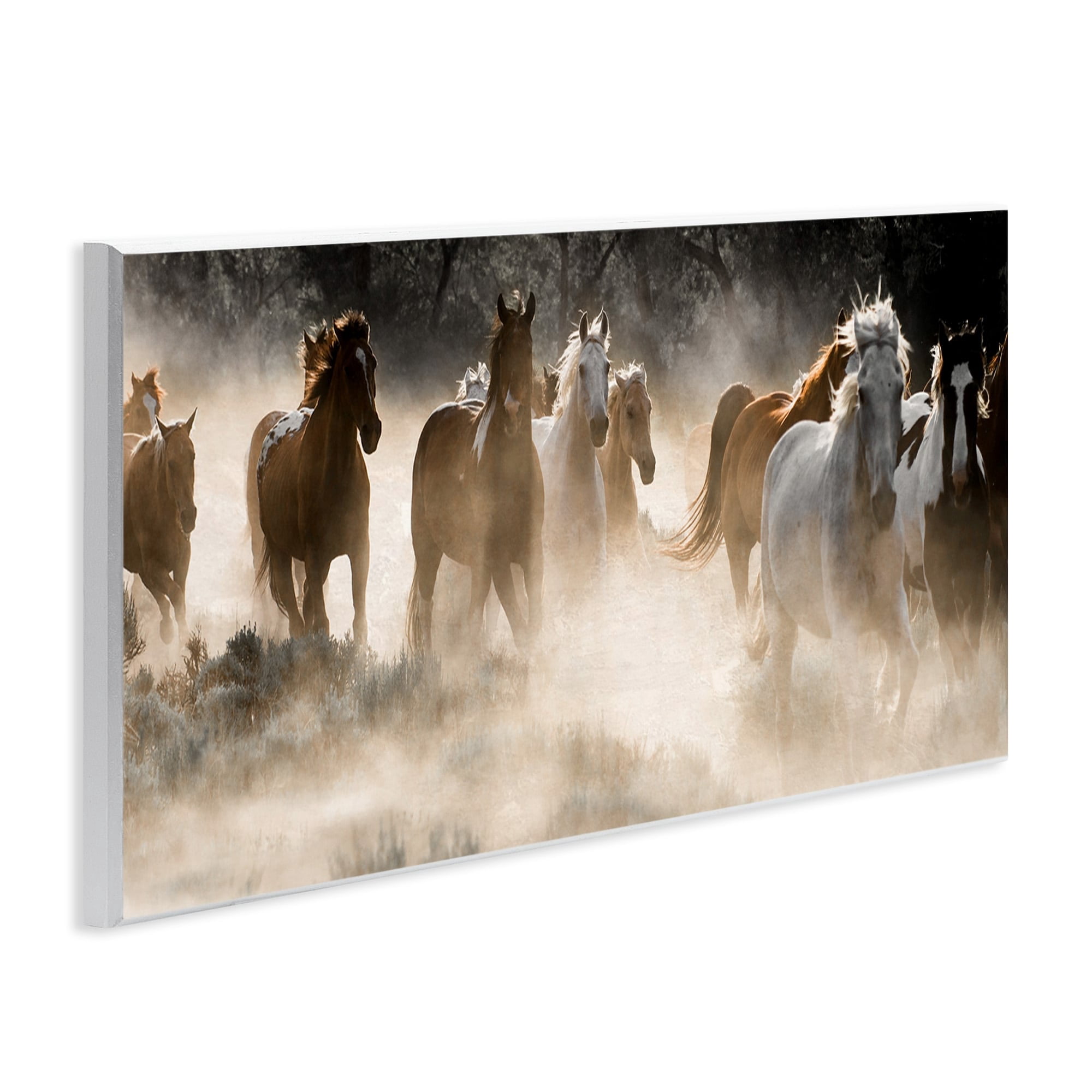 Stupell Industries Striking Horse Herd Galloping Rural Wildlife Photography Photograph Unframed Art Print Wall Art, Design by Danita Delimont