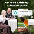 thumbnail image 5 of Birdfy Smart Bird Feeder with Camera for Bird Feeding and Watching - 1.5 lb Capacity, Blue, 5 of 9