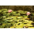 thumbnail image 2 of Berzel, Erin 18x13 White Modern Wood Framed Museum Art Print Titled - Lotus Pond I, 2 of 4