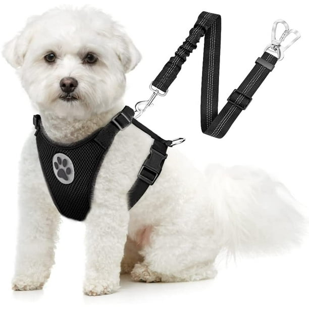 Dog car harness tether sale