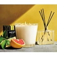 thumbnail image 2 of Nest Fragrances Grapefruit Classic Candle, 2 of 6
