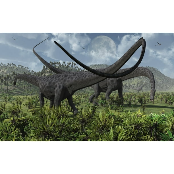 giant diplodocus