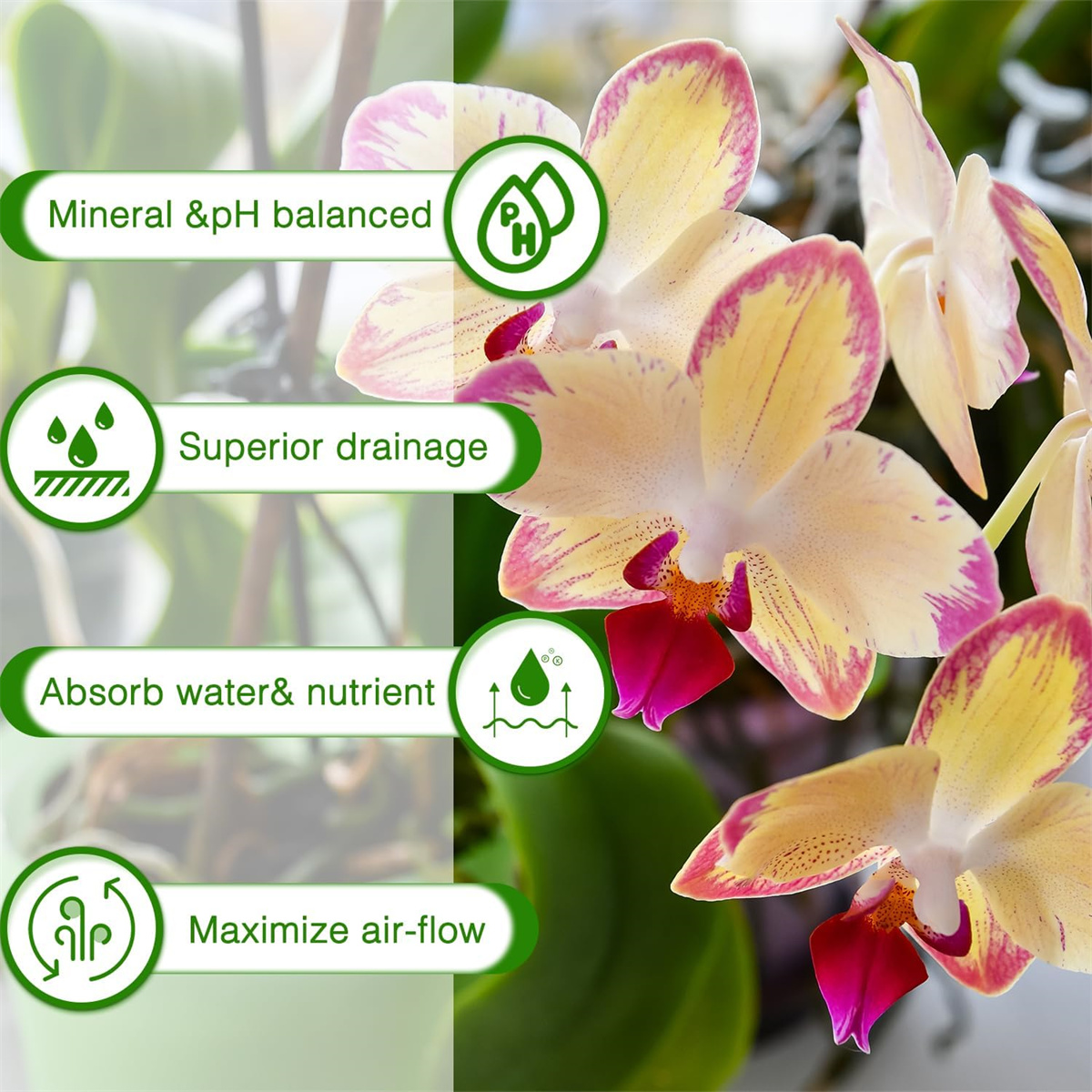 Bonsai Mix Soil,QZS Durable Bark Mulch Perlite Stone Soil,Portable Orchid Repotting Kit for Indoor,Indoor Potting Medium for Plant Root Climbing
