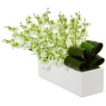 thumbnail image 2 of Dancing Lady Silk Orchid in Rectangular Ceramic Planter, 2 of 2
