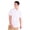 Optic White, variant on Men's Short Sleeve Buttondown Shirt