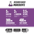 thumbnail image 3 of Outwork Nutrition Recovery Supplement, Post Workout Recovery Powder & Muscle Builder for Men and Women, Recharge Muscles After Gym, Backed by Science, Gummy Bear Burst, 230 Gr, 3 of 5