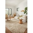 thumbnail image 4 of Loloi Neda Abstract Area Rug, 42 in x 66 in, 4 of 5
