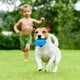 thumbnail image 3 of Great promotion! Pet Supplies Puppy Dog ​​chewable Teething Rubber Toy Ball Rugby Toy, 3 of 4