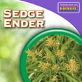 thumbnail image 5 of SEDGE ENDER RTS 1PNT (Pack of 1), 5 of 5