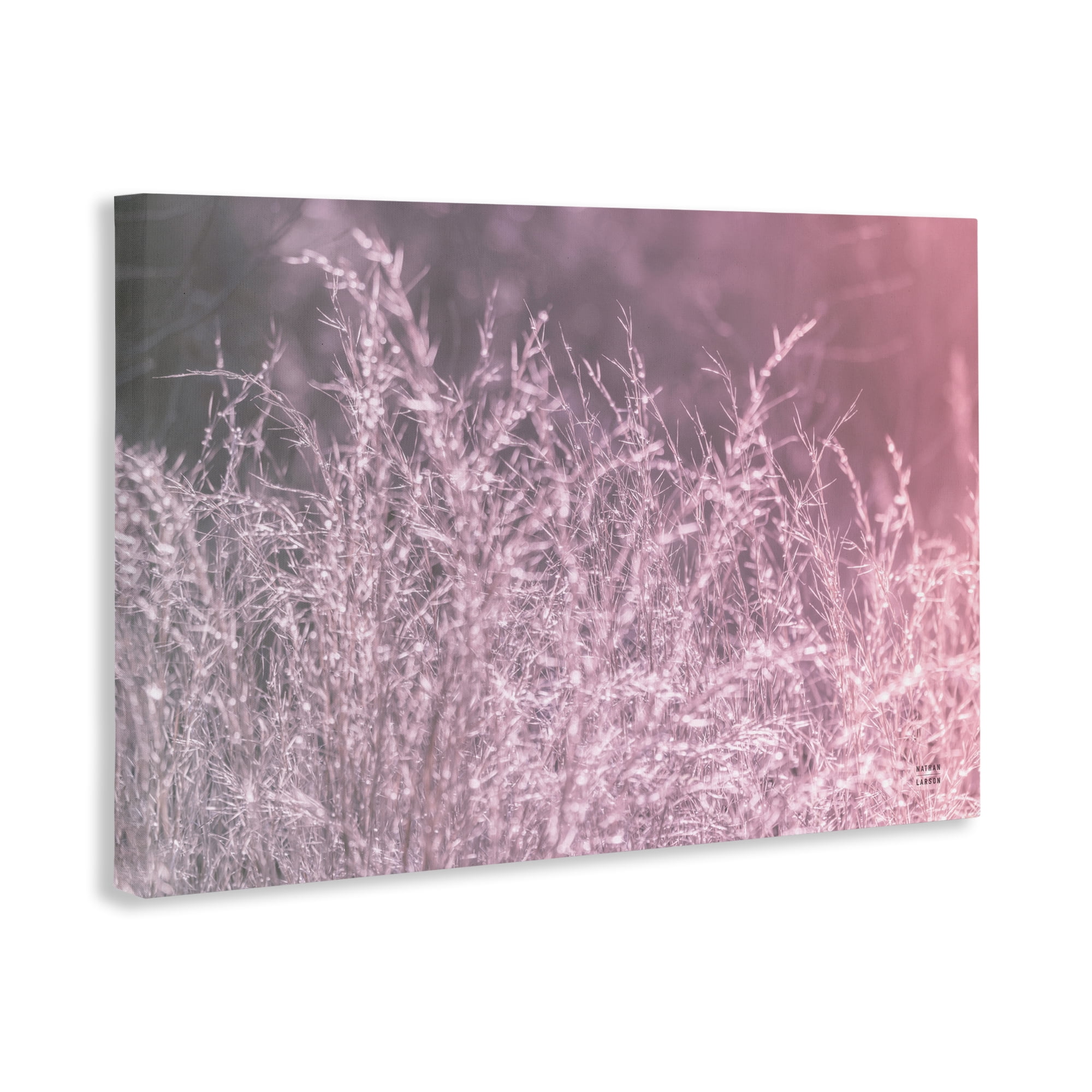 Stupell Industries Pink Morning Gentle Meadow Canvas Wall Art, design by Nathan Larson