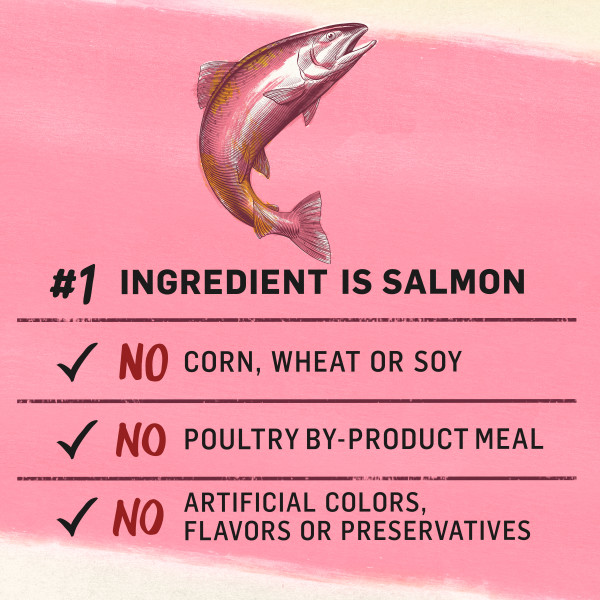 purina beyond superfood salmon