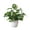 #3, variant on Ludlz Artificial Foliage Plant Potted Bonsai Wedding Party Home Mall Desk Office Decor