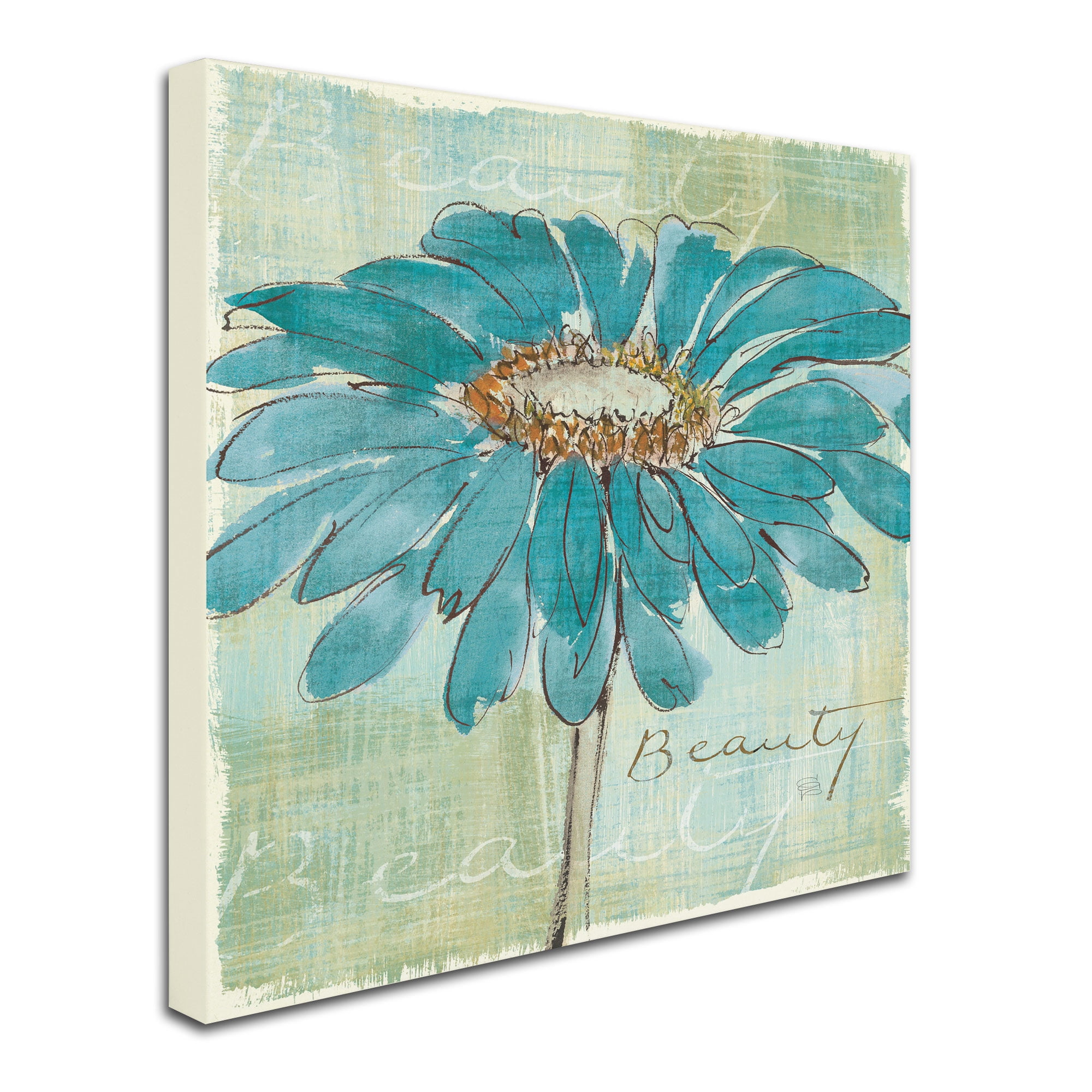 Trademark Fine Art "Spa Daisies I" Canvas Art by Chris Paschke