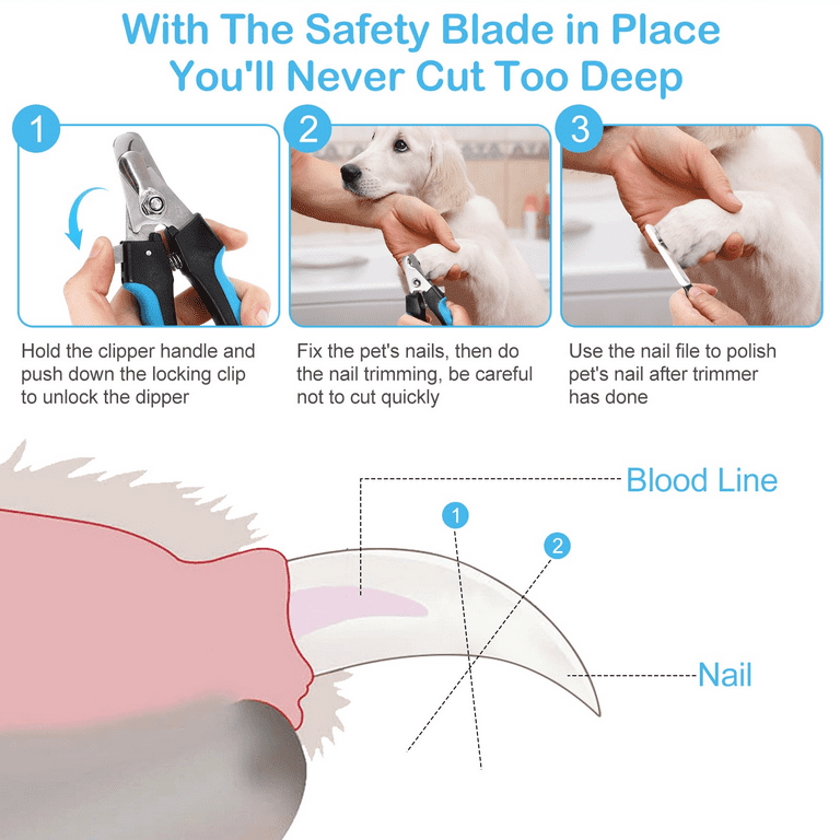 Cut puppy nails with fingernail clippers online