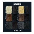 BRITE Clean Color Permanent Hair Color Kit Black, Vegan, Cruelty Free