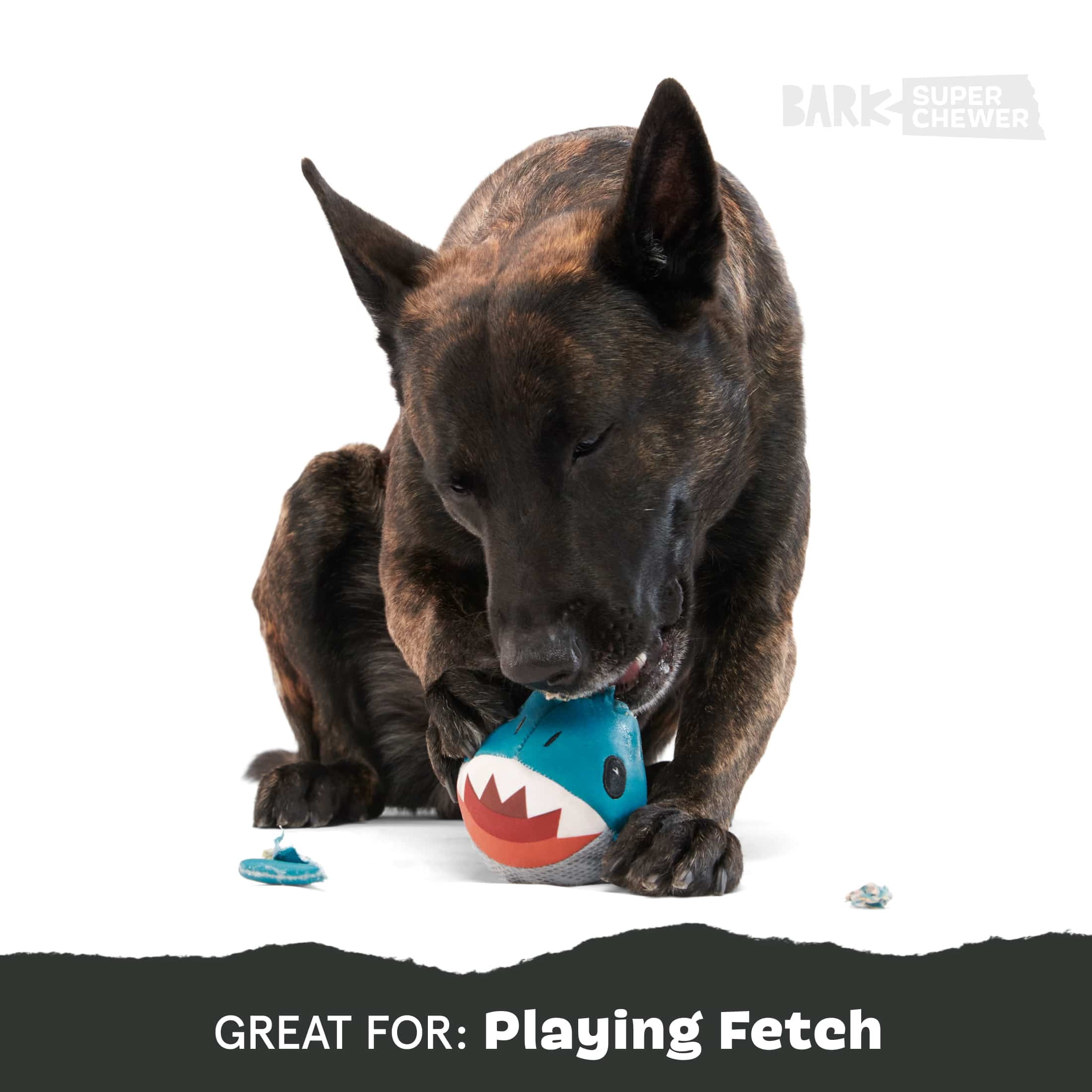 BARK Great White Dewight Durable Dog Toy for Active Pups
