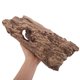 thumbnail image 5 of BESTYASH Refugio Para Reptiles En Resina Resistente Con De Para Y Escalar, 5 of 7