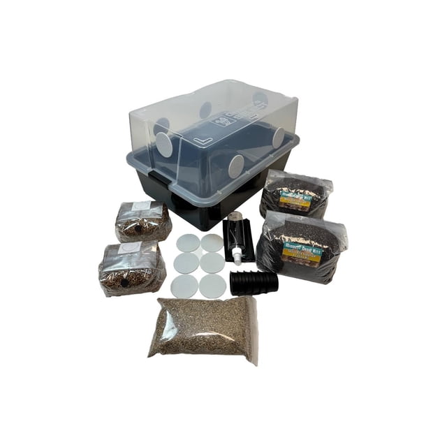 Kit de cultivo de hongos Myco Labs Mushroom Monotub Large 66Q