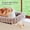 Natural Color Wood w/ Brown Bed, variant on SnugCloud Cat Window Perch - Orthopedic Cat Hammock for Window Sill Window Seat for Pets