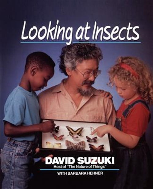 Pre-Owned David Suzuki's Looking at Looking at Insects, (Paperback)