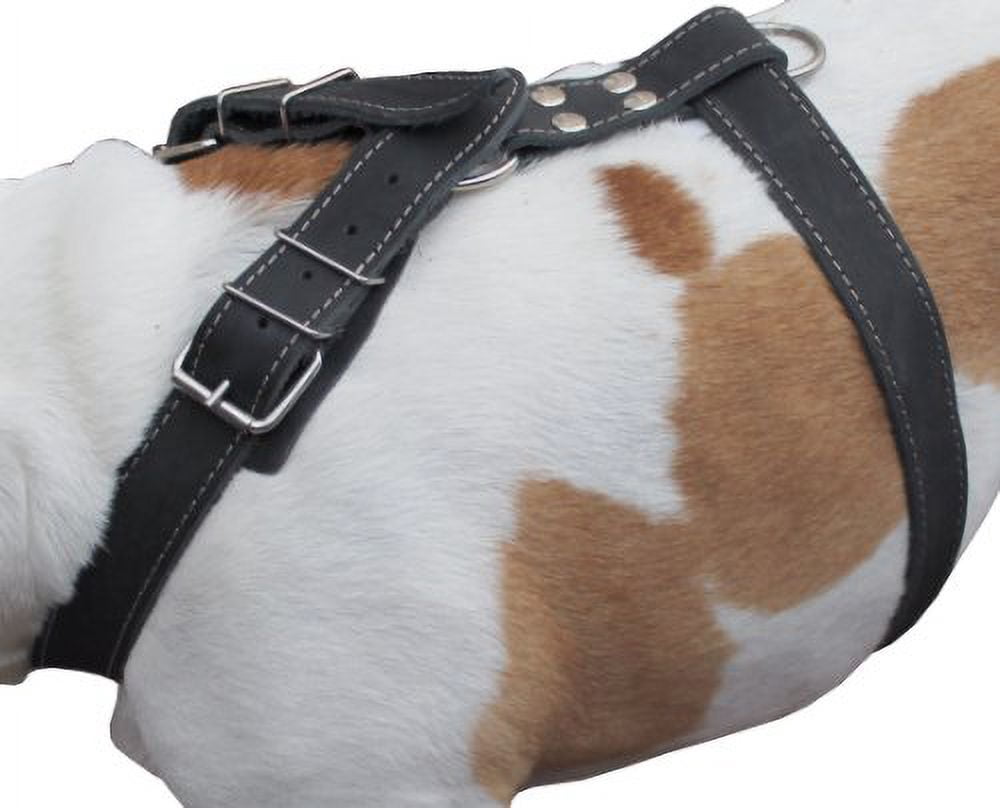 Black Genuine Leather Dog Harness, 35"-40" Chest, 1.5" Wide Straps Mastiff Great Dane