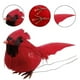 thumbnail image 5 of Wosthever 10pcs Red Bird Christmas Pendants Props Home Prop Scene Festival Layout Indoor Adornment Birds Pendant Decor Hanging Kits de decoración para fiestas, 5 of 6