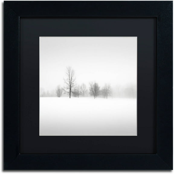 Trademark Fine Art "Winter Fog" Canvas Art by Dave MacVicar, Black Matte, Black Frame