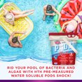 thumbnail image 5 of HTH Pre-measured Water Soluble Pods for Swimming Pools, 15 Ct Shock Treatment, 5 of 8