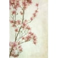 thumbnail image 2 of Poinski, Dianne 23x32 Black Ornate Wood Framed with Double Matting Museum Art Print Titled - Pinker II, 2 of 4