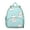 Greenish-blue-52, variant on Birthday Dinosaur Student Backpack – Colorful Dino Party Print with Roaring Cartoon Dinosaurs, Planets, Balloons, and Jungle Artwork