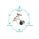 thumbnail image 2 of Juguetes para perros con tareas de terapia, rompecabezas interactivo para terapia canina, juguetes para alimentar, juguetes de estimulación mental para perros y gatos pequeños y medianos,, 2 of 2