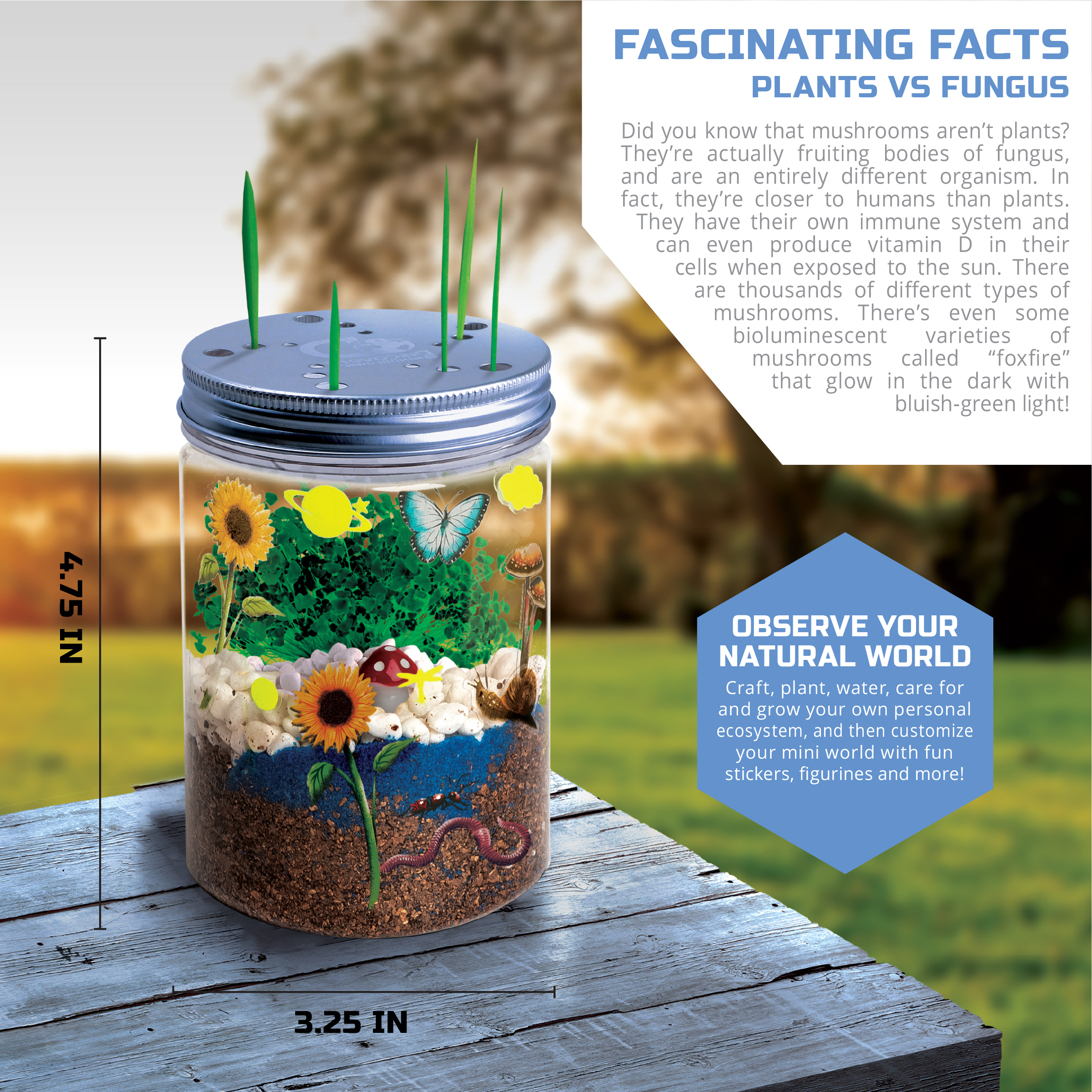 Discovery #Mindblown DIY Terrarium Grow Kit, STEM Educational Science Project, Ages 6+, Multicolor