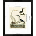 thumbnail image 3 of Heron Family II, Animals Framed Art Print Wall Art by A^ Wilson Sold by Art.Com, 3 of 6