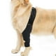 thumbnail image 3 of Dog Recovery Sleeve Front Rear Leg Support Brace For Injury Sprain Relieve Pain, 3 of 5