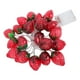 thumbnail image 1 of 20 Luces LED De Cadena De Frutas Luces De Cadena De Lámpara De Fresa Hermosa Batería Suave Para Fiesta Temática Para Mostradores De Cocina ANGGREK Otros, 1 of 8