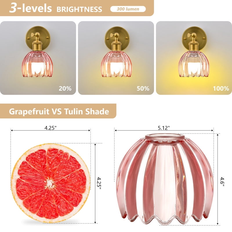 GCGAFUL Vintage Battery Operated Wall Sconce with Tulip Glass Lampshade, USB Rechargeable Battery Powered Wall Light for Bedside Bedroom Doorway Living Room，Set of Two
