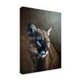 thumbnail image 2 of Trademark Fine Art 'Cougar' Canvas Art by Ron Parker, 2 of 3